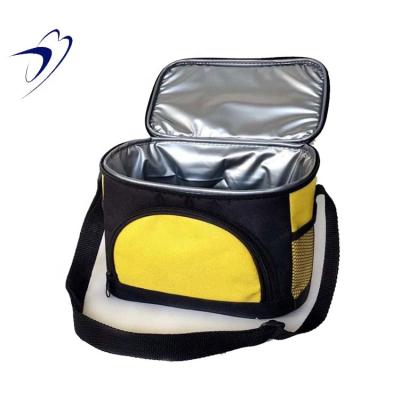 China Waterproof Wholesale Insulated Picnic Lunch Box Cake Wine Ice Bag Cooler for sale