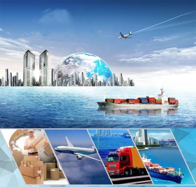 China International Sea Freight Service FBA/Amazon Freight Forwarder Freight Forwarder China To USA/Europe Ocean Shipping for sale