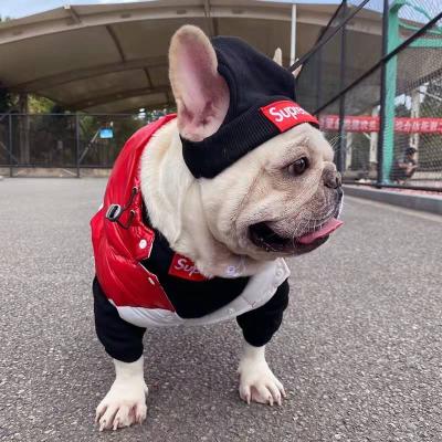 China Customized High Quality Waterproof And Windproof Winter Dog Clothes Warm Coat Jacket Fashion Pet Apparel Products for sale