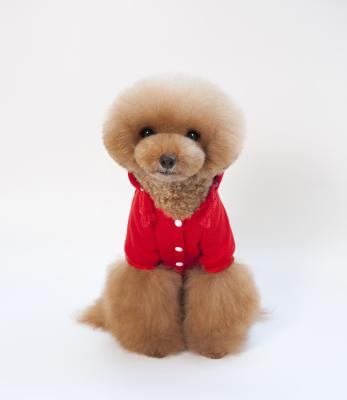 China Lovely Sustainable Cheap Pet Clothes Dogs Accessories Cute Pets Clothes For Likely Small Dogs And Cats for sale