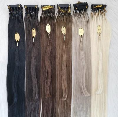 China Straight 100% Real Straight Human European Russian Virgin Remy Genius Human Hair Customized Color No Tangle 6D Hair Extensions for sale