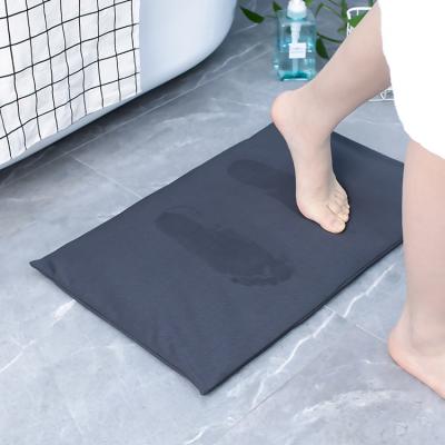 China Sustainable Water Absorbent Instant Drying 100% Natural Diatomite Soft Bath Mat For Bathroom for sale