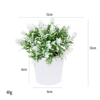 China Modern 2022 Factory wholesale mini succulent pot combination for sale