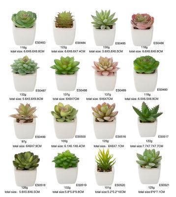 China Modern 2022 Factory wholesale mini small square succulents wholesale with POTS succulent ceramic POTS for sale