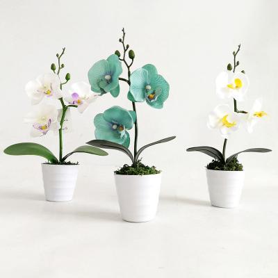 China Europe Factory wholesale simulation flower with flower desk wedding decoration plastic flower pot mini phalaenopsis potted set for sale