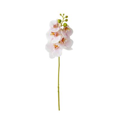 China Modern Hot sale 2022 five head hand moisturizing gelatinized Phalaenopsis simulation orchid for sale