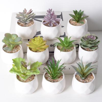 China Europe Simulation succulent plants green plant decoration cactus indoor office trinket combination potted bonsai wholesale for sale