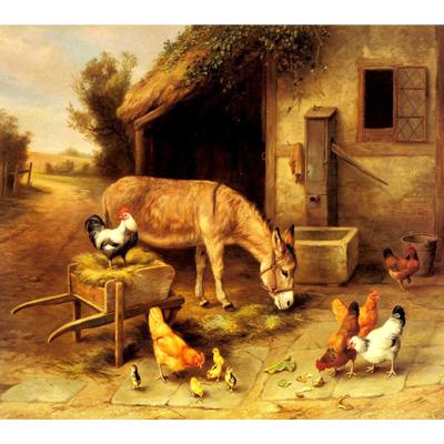 China Modern Animal Wall Art Decor Farmhouse Illustration Donkey Picture and Chickens Diamond Painting Craft Diamond Embroidery Diy for sale