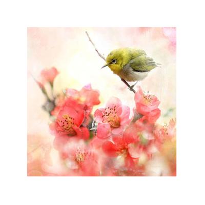 China Newest Diamond Embroidery Yellow Bird Modern Standing on a Flower Branch Home Decoration Diamond Painting Full Drill Painting for sale