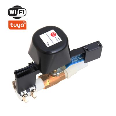 China General ZigBee WI-FI water valve wireless remote control smart tuya valve / gas valve with joystick for sale