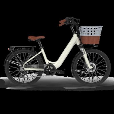 China Ejoysport 2021 aluminum alloy customized 250w lithium battery electric bicycle for mother for sale