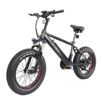 China Free Shipping USA Aluminum Alloy Fat Tire Electric Bicycle A6AH20F 48V 750W Brushless Motor 20