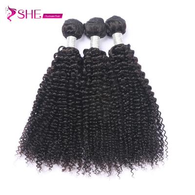 China No Tangle No Shedding Curly Brazilian Natural Black Virgin Human Hair Bundles Curly Hair Bundles High Quality In Stock for sale