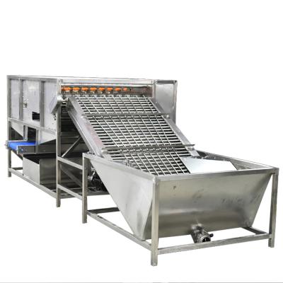 China Large Capacity Cooked Egg Food Processing (Egg Processing) Shell Removing Machine Boiled Egg Peeling Machine for sale