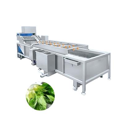 China Citrus fruit processing plant air bubble ozone fruit and vegetable salad seal jujube washing machine for sale