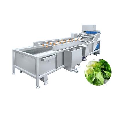 China fruit processing plant bubble vegetable cleaning machine/fruit commercial fruit washing tank/seal,seaweed cleaning machine for sale