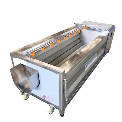 China Fruit Processing Plant Easy To Operate Automatic Industrial Ginger Roller Washer Brush Potato Peeling Machine 500kg/h for sale