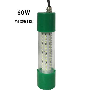 China Fish Attracting IP68 High Power LED Green White Fish Attracting Bait Submersible DC 65W 12V Underwater Fishing Light for sale