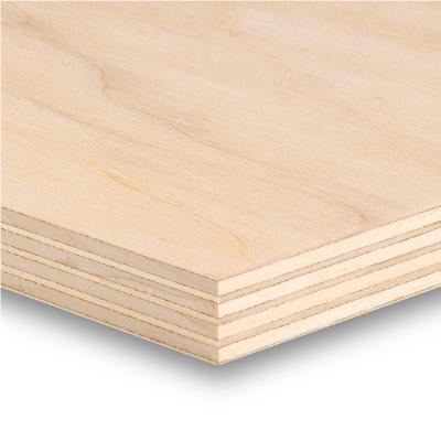 China Best Quality Poplar/Pine/Birch Plywood 3mm/6mm/9mm/12mm/15mm/18mm Modern Commercial Building Material Furniture for sale