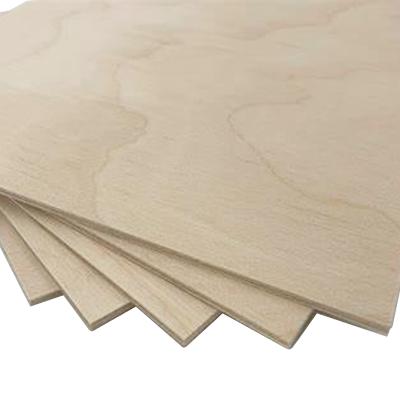 China Modern hot sales high quality plywood for engineering concrete molding construction 3mm-21mm for sale