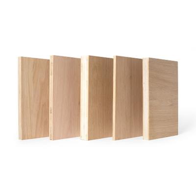 China Modern Plywood Board For Construction Funiture Packing Pine Poplar Plywood Sheet for sale