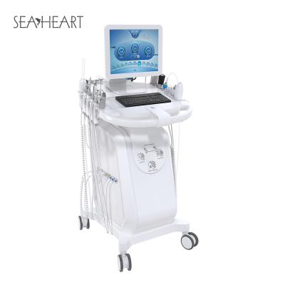 China Exfoliators Sea Heart 15 in 1 Hydra Dermabrasion Facial Skin Analyzer Machine for Acne Pore Removal for sale