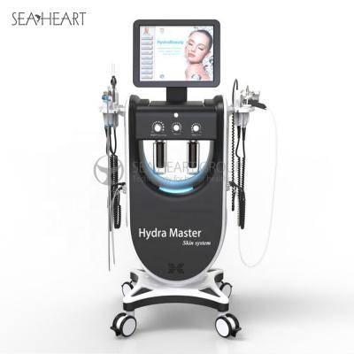 China Pigment Removal Sea Heart Good Quality SPA19 9in1 Hydra Dermabrasion Machine With Diamond Dermabrasion Handle for sale