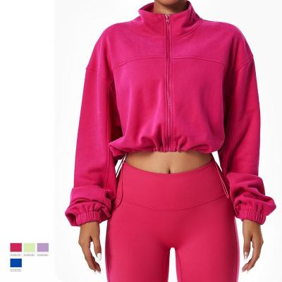 China Seamless 2024 Trendy Women Clothing Loose Long-Sleeved Sports Hoodie Outdoor Running Cycling Training Top Zipper Coat for sale