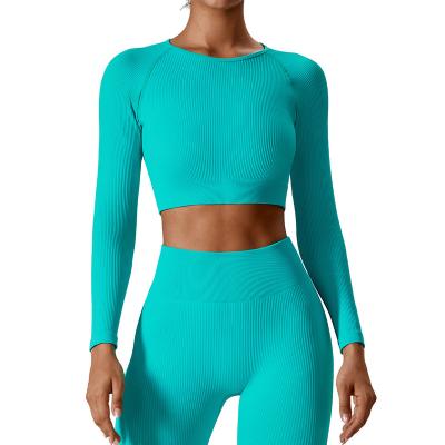 China Seamless Women Winter Wear Ribbed Seamless Long Sleeve Yoga Shirt Running Fitness Wear T-shirt Manufacturers for sale