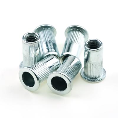 China Factory Customized Flat Nuts Rivet Nut Rivet Nuts Factory Steel Nickel Plated White Zinc Rivet Flat Nuts zu verkaufen