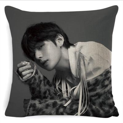 China Anti Dust Mite BTS Goods Cushion Cover Custom Digital Printing Pillow Case BTS Cushion Cover for sale