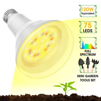 China Seed starting 2022 hot sale BR30 12W e26 e27 b22 agricultural greenhouse led bulb for growing light full spectrum for sale