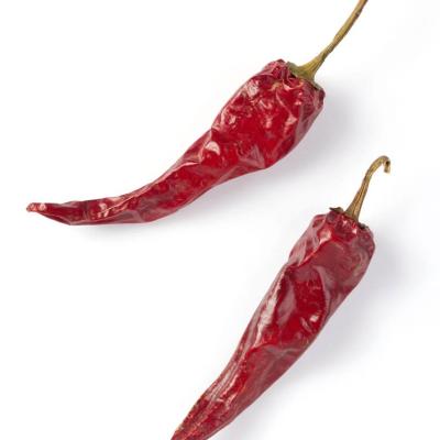 China China High Quality Good Price Fresh Dry Hot Spice Red Chilli Strips Hot Pot Gangu Chili Pepper For Sale for sale