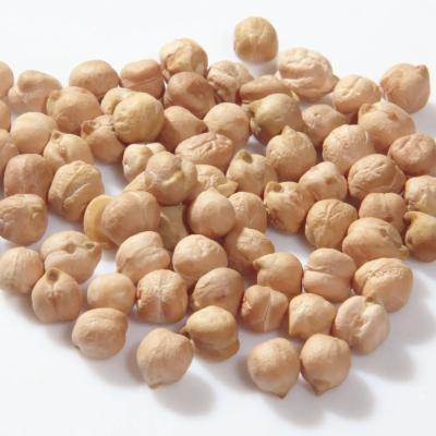 China China Wholesale Natural Tasty And Healthy Nutritious Snacks Dried Beans Chickpeas for sale