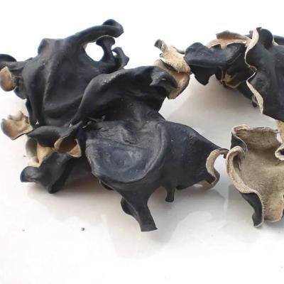 China Could be cooked with all healthy food dried natural dehydrated black agaric wholesale cooking method black fungus mushroom for sale for sale