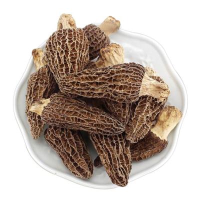 China 2022 Wholesale China Cultivated Morchella Mushroom Stalk Fresh Natural Wild Nightshade Dried Morchella for sale