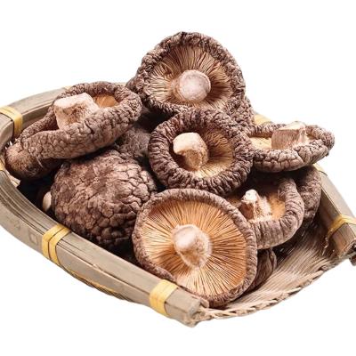 China Hot Selling High Quality Pure Chinese Shiitake Mushroom Dry Dried Xianggu Mushroom Bulk Wholesale for sale