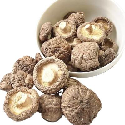 China Chinese Wholesale Pure Dried High Quality Dried Bulk Xianggu Mushroom Shiitake Mushroom for sale