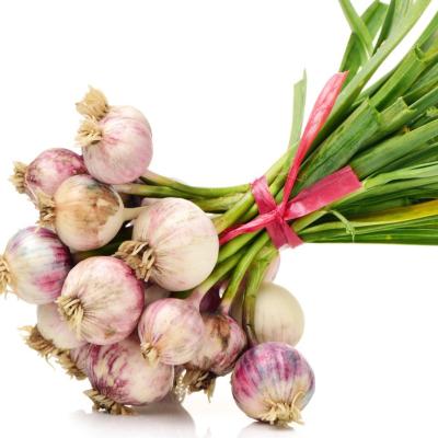 China China Fresh Exports Bulk Vegetable Garlic Skin Fresh Naturally Cultivated Purple Garlic Wholesale for sale