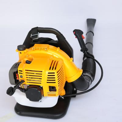 China Gasoline Engine Leaf Blowers 52cc Gasoline Snow Blower With 52CC Brush for sale