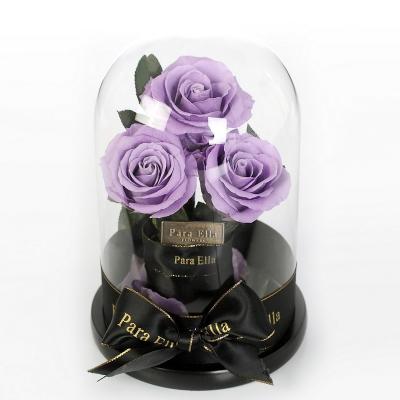 China Preserved eco-friendly noble violet rose eternal flower 6-7cm for valentine's day gift glass for sale