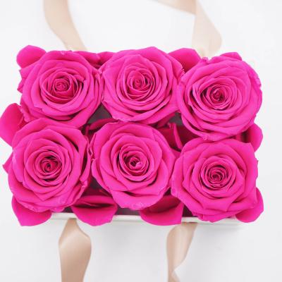 China Preserved Roses Flower Wholesale Luxury Eternal Preserved Roses Head Box Roses Eternal Flower Forever In Gift Box for sale