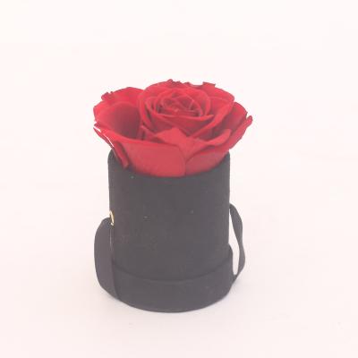 China Flower Wholesaler Preserved Forever Fresh Cut Rose Handmade Eternal Round Velvet Roses In A Box for sale