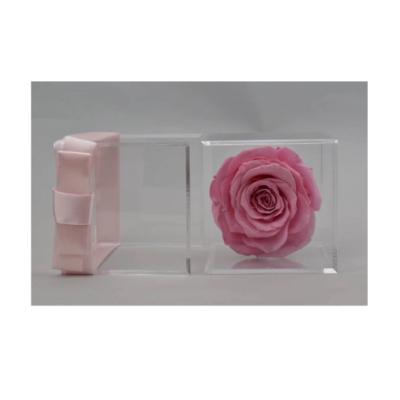 China Preserved Rose Flower Ecuador Preserved Roses Box Hold 1 Acrylic Preserved Flower For Wedding Centerpiece for sale