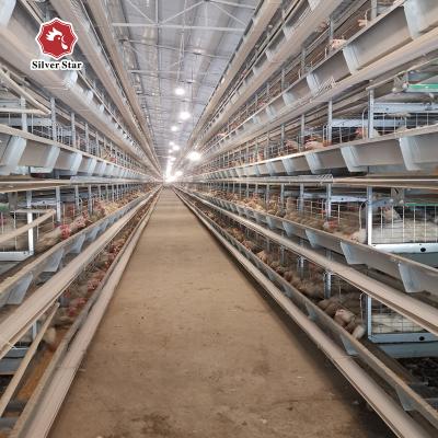 China Egg Chicken Poultry Chicken Cages For Chicken Farming for sale