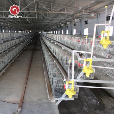 China Durable Multilayer Type A/H Automatic Water Feeding And Fertilizer Removal Can Be Customized Broiler Cages for sale