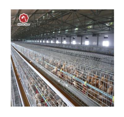 China Durable Commercial Layer Chicken Cage Poultry Cage Chicken Cages Chicken Farm Products for sale