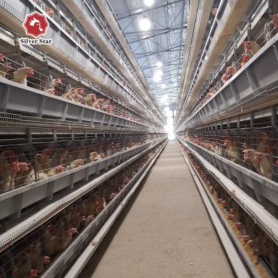 China Save Working Quail Broiler Battery Cage With Poultry Farm Equipment for sale