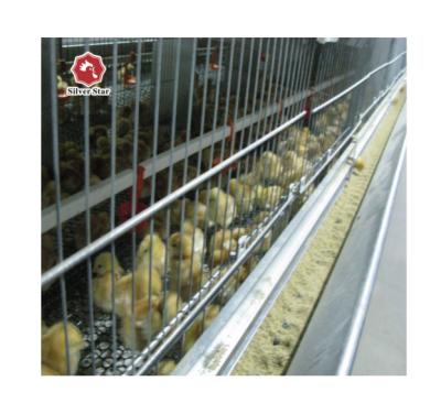 China Save Breed Cost Fully Automatic Poultry Broiler Cage Animal Husbandry Equipment for sale