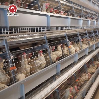 China Easily Clean Baby Broiler Poultry Chicken Cage For 1 Day Old Chicks for sale